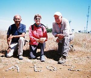 Joy spells 'A to Z' with small stones