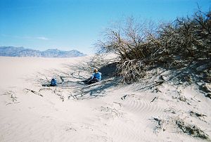 in the shade of a brush-covered knob