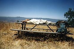 Lying down on the job again. No wonder it takes them all day to walk a few miles.