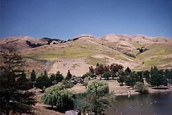 One picture is surely worth a thousand words